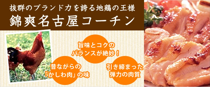 （チルド）錦爽名古屋コーチン正肉セット　もも２枚　むね２枚　ささみ２本　※内容量約８００ｇ