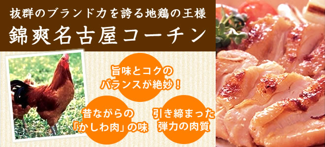 （チルド）錦爽名古屋コーチン正肉セット　もも２枚　むね２枚　ささみ２本　※内容量約８００ｇ